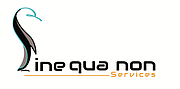 Logo of SINE QUA NON SERVICES